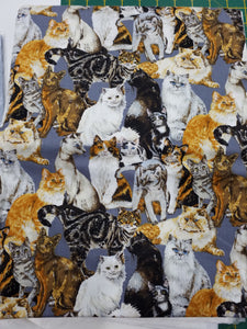 Scattered Cats