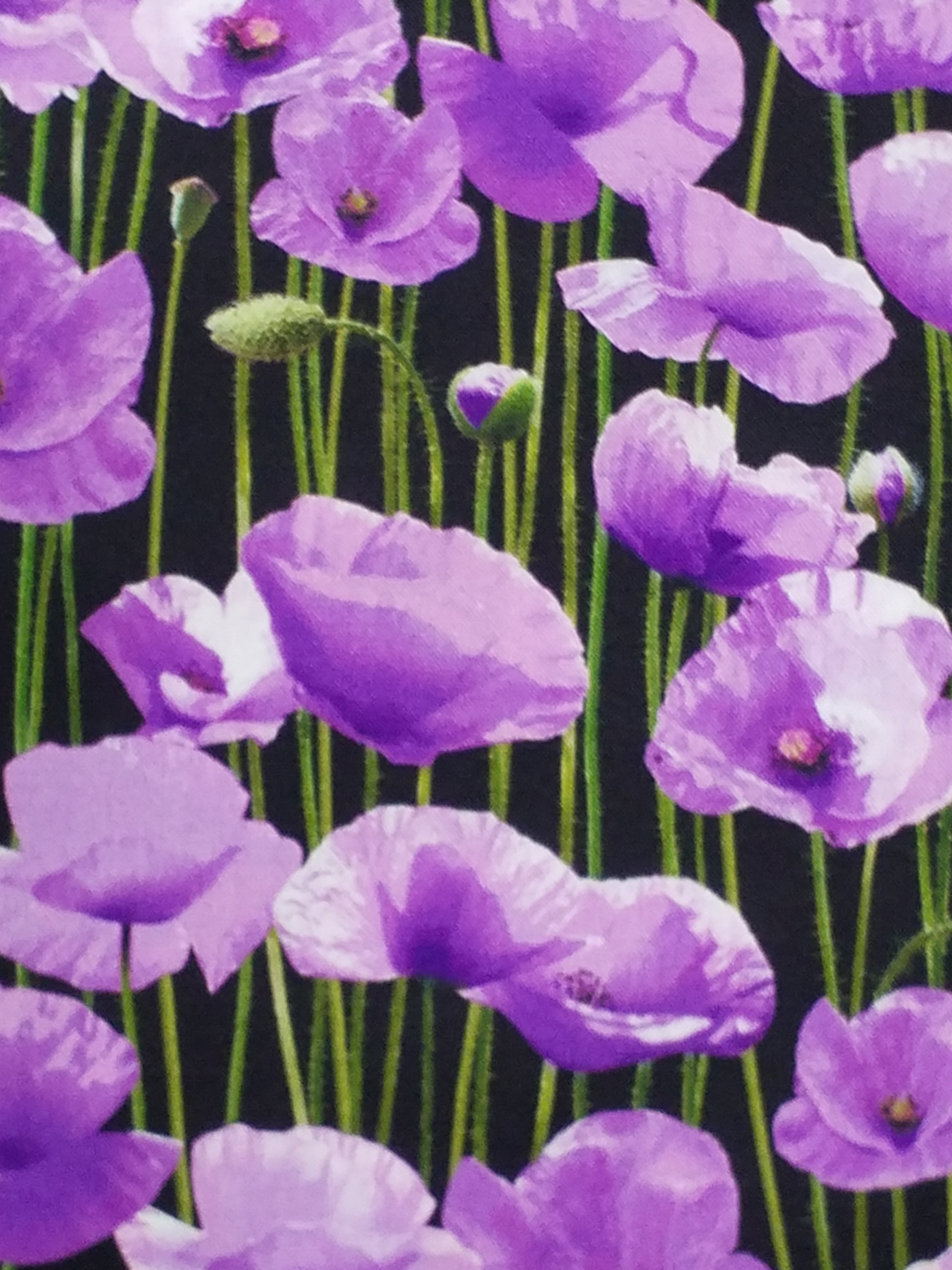 Animals of War Purple Poppy Field