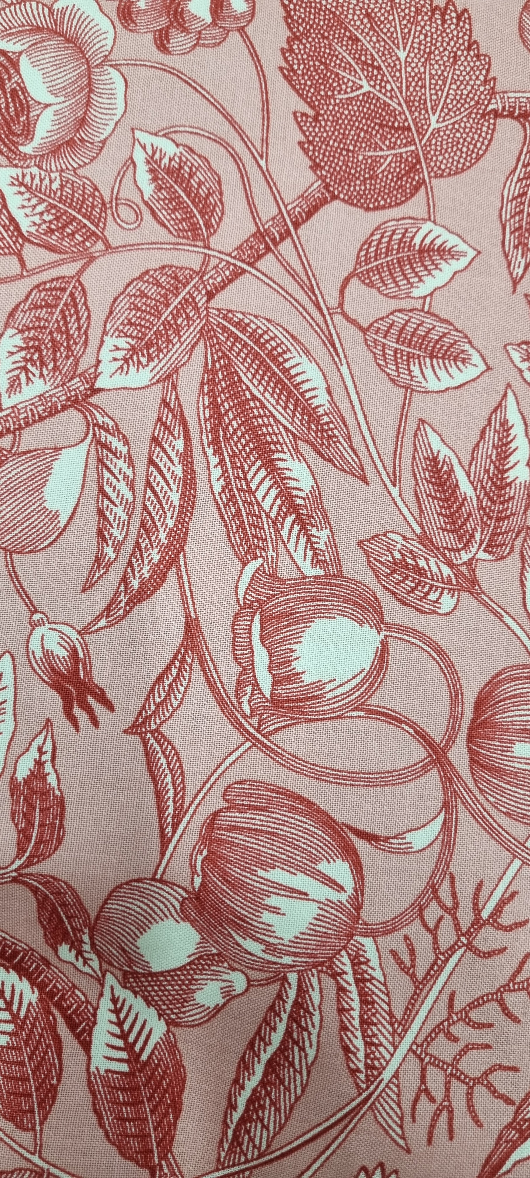 Strawberries & Cream - Pink