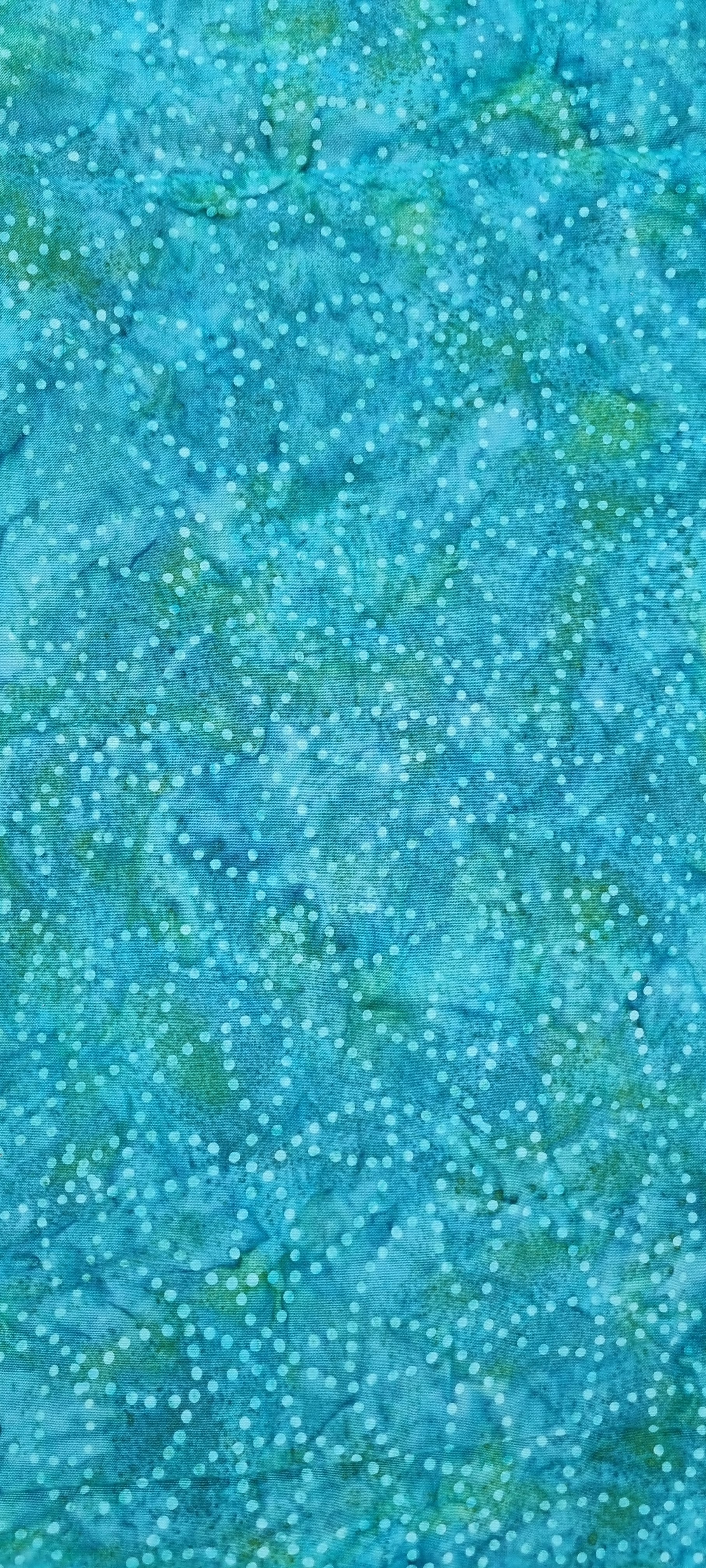 Teal 2025/10