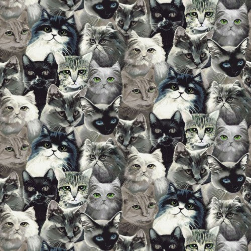 Cats Faces Black/Gray