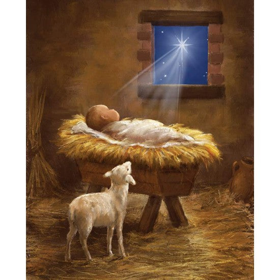Picture a Christmas - Baby in manger