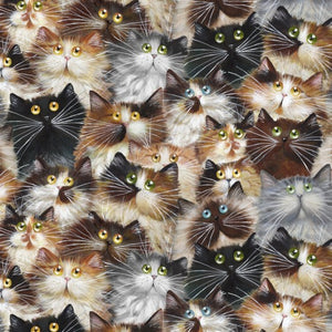Cat Pack Backing