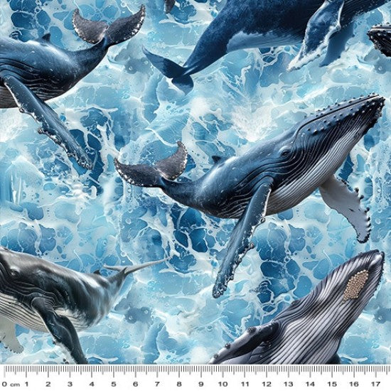 Whale - Humpback