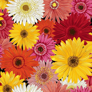 Laminate Gerbera