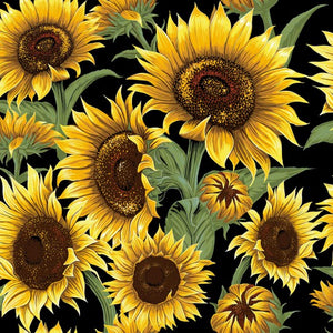 Laminate Sunflower