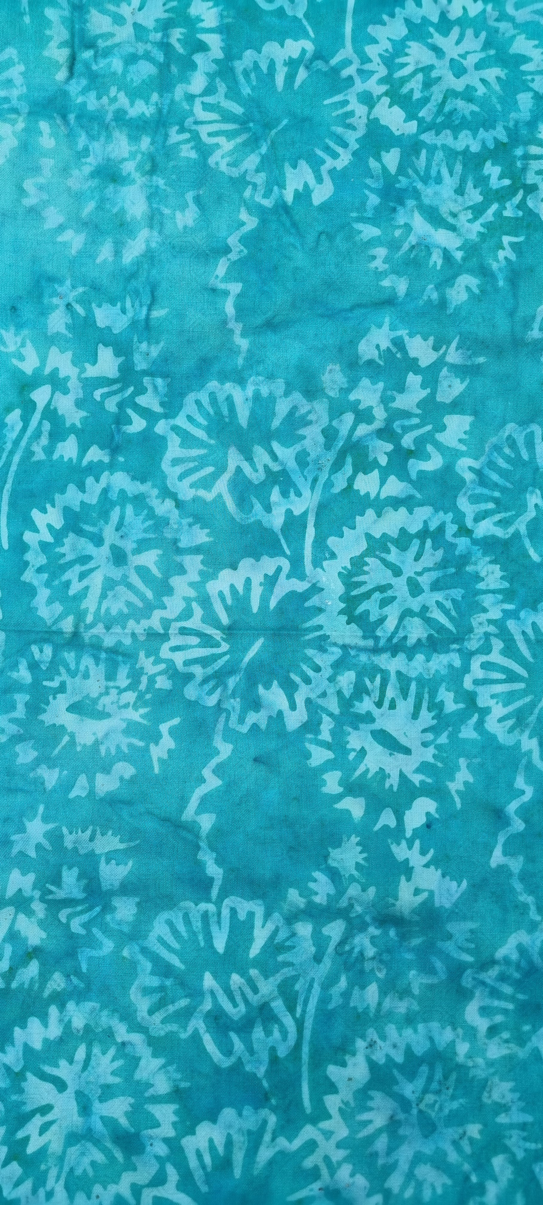 Teal 2025/12