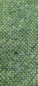 Green 2025/1