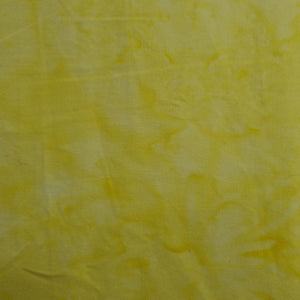 Yellow 1402 ANT