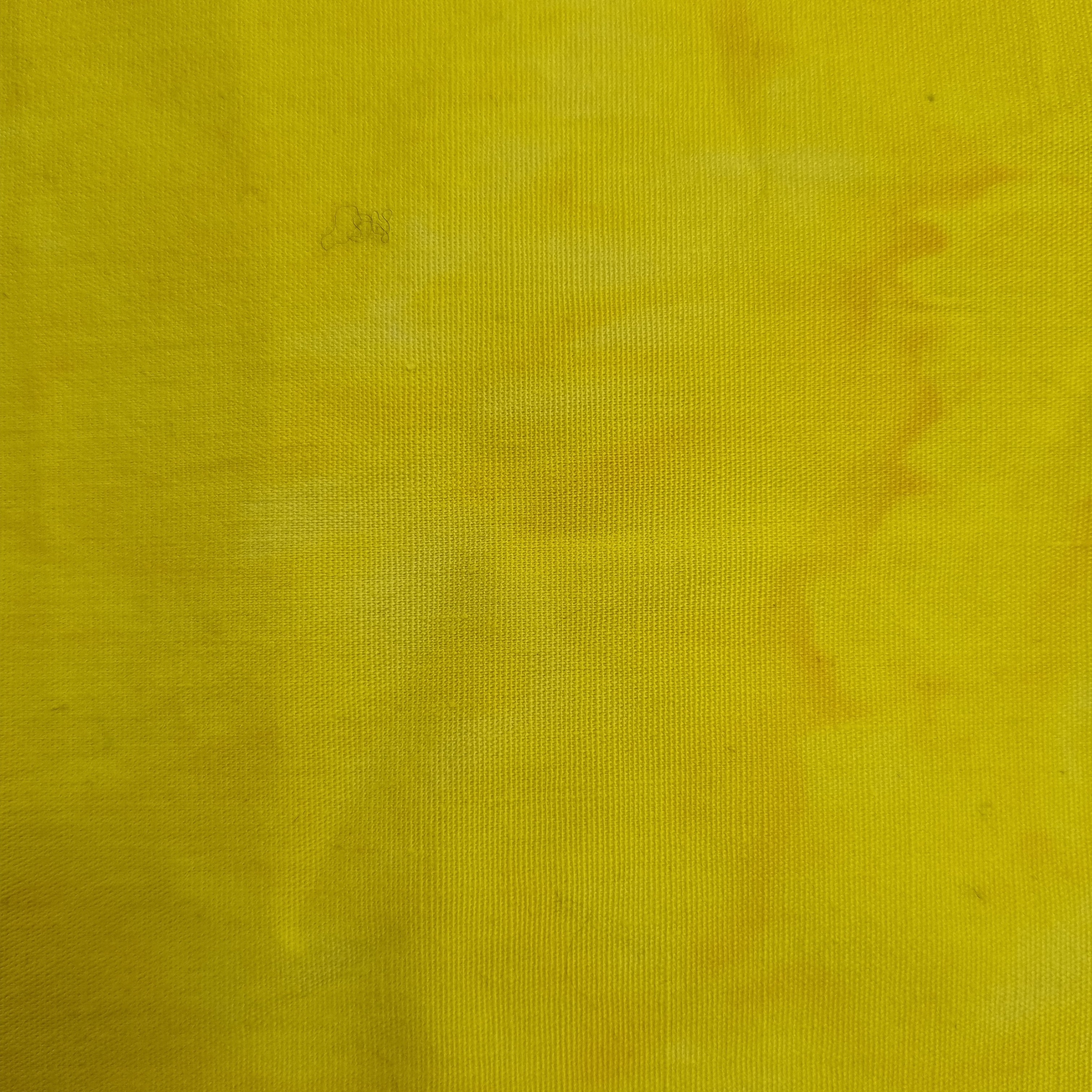 Yellow 1405 ANT