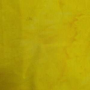 Yellow 1405 ANT