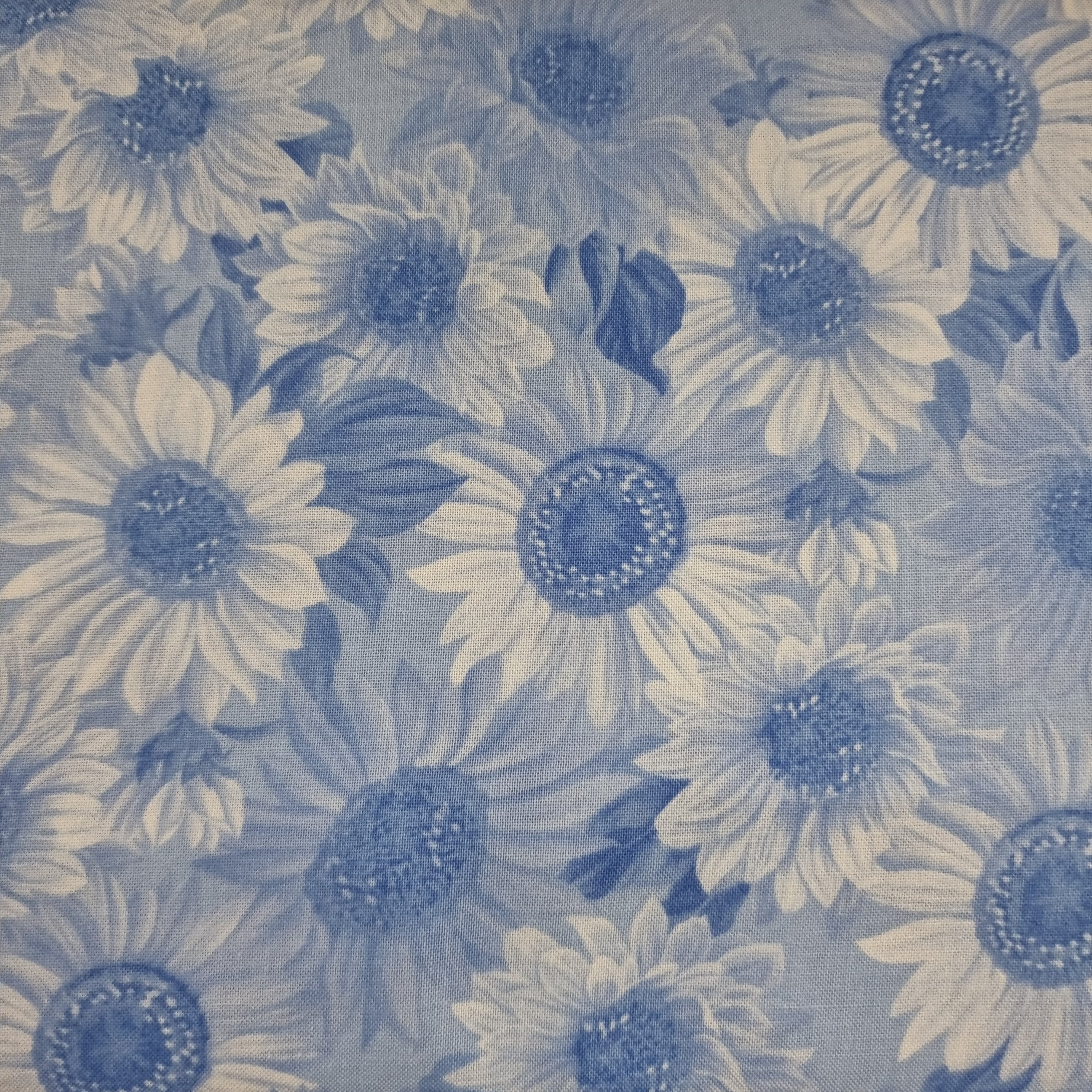 Sunflower Sunrise-lt blue Tonel