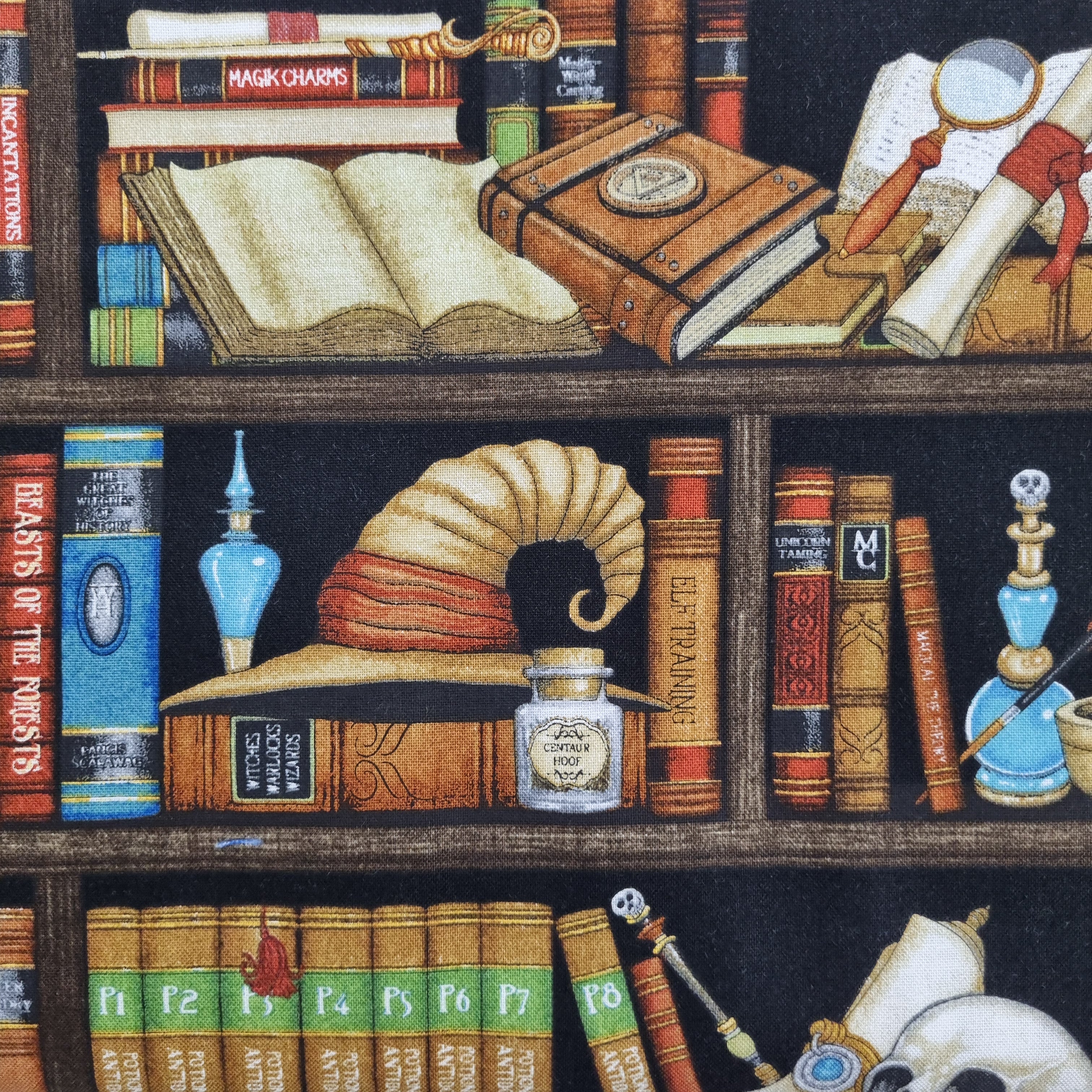 Spellbound - Wizard Bookshelf