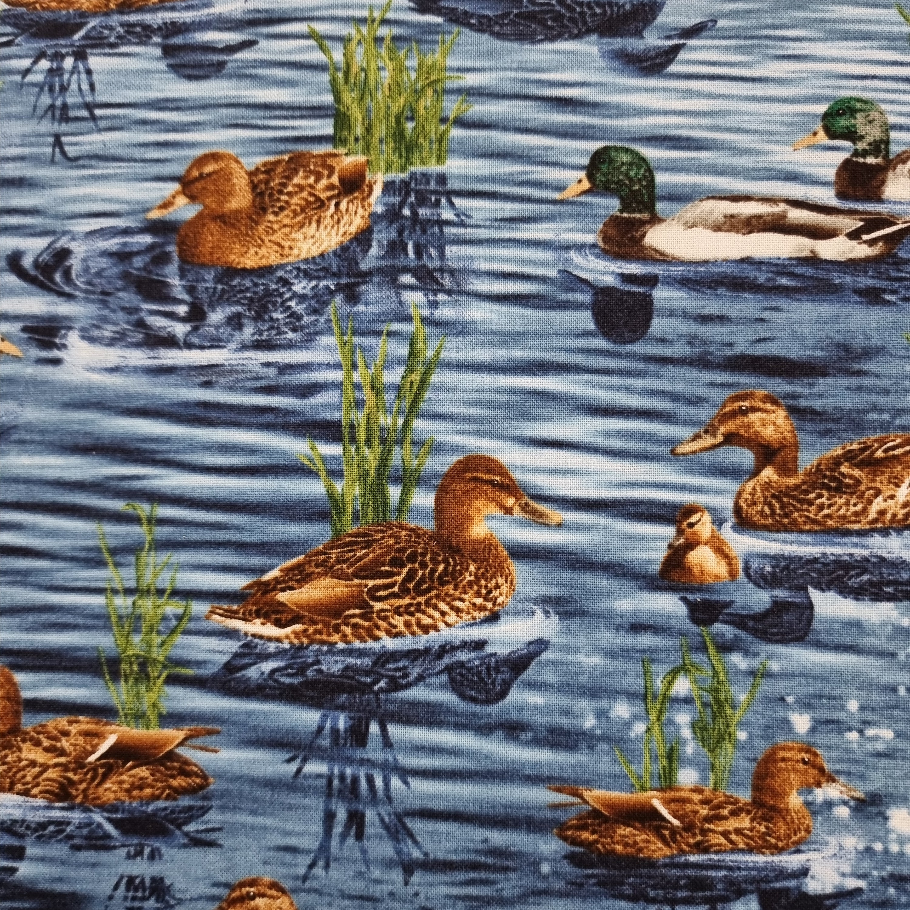 Nature Ducks
