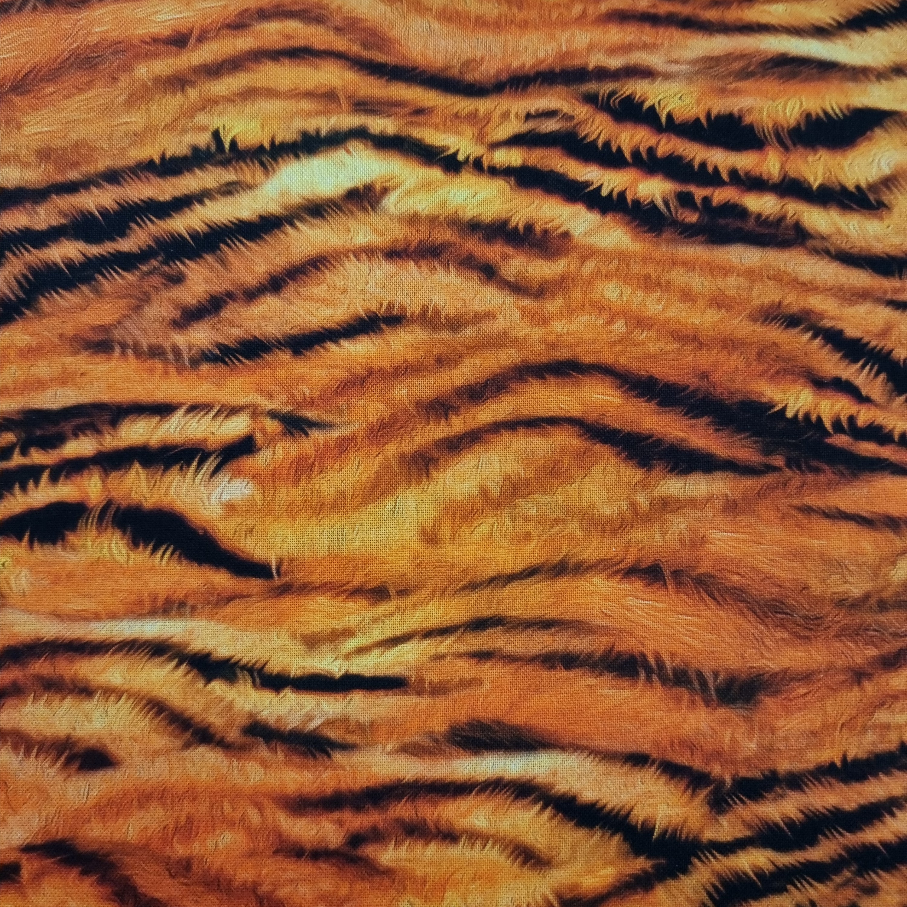 Picture This - Tiger Stripes