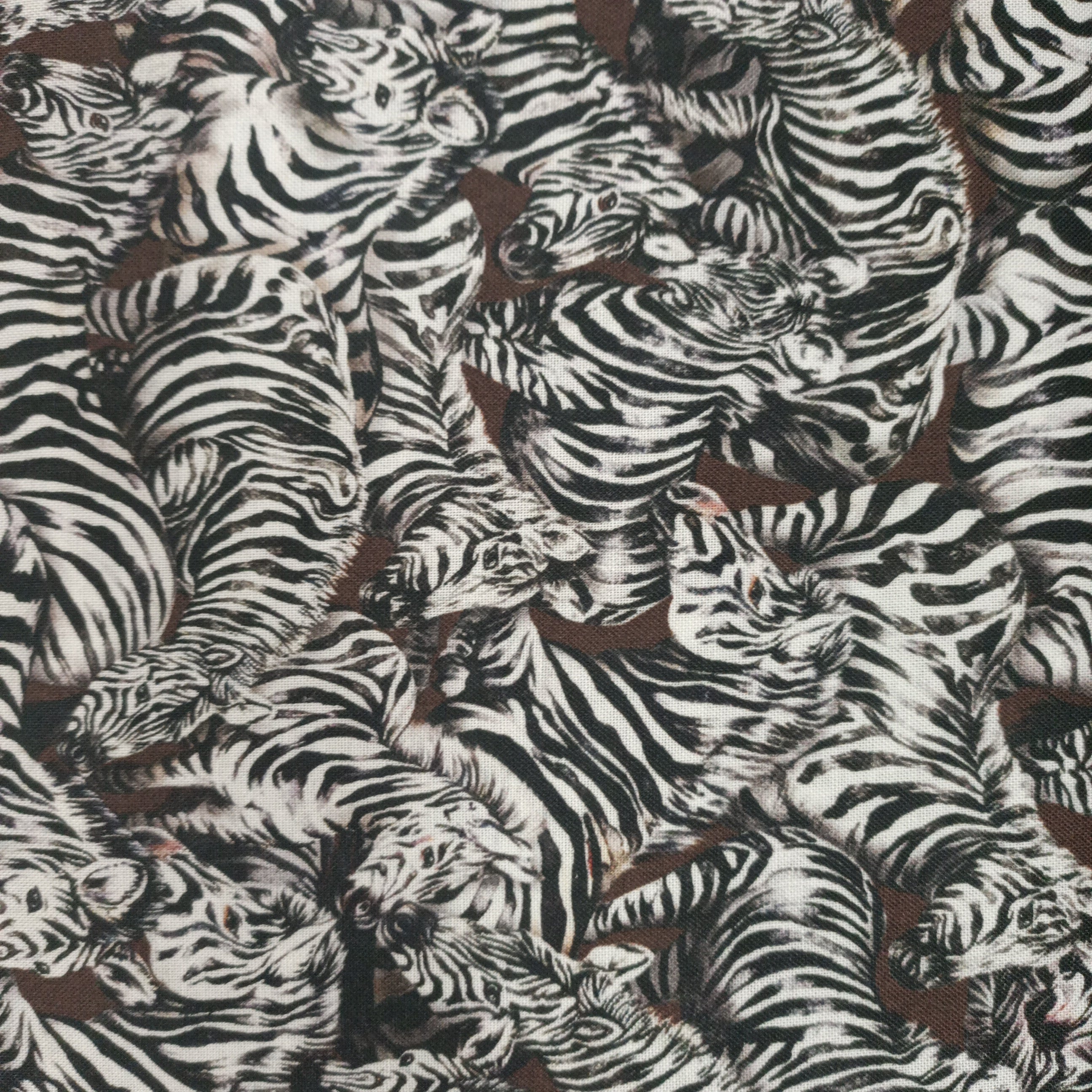 Jangala - Zebra - Black/White