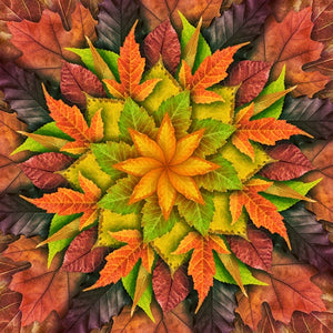 Hoffman - Big Dream Leaf - Autumn