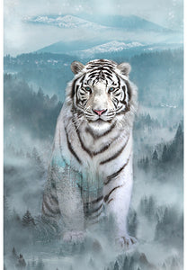 Hoffman - Ice - White Tiger