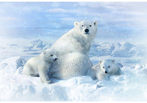 Hoffman - Polar Bear