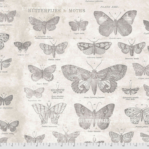 Monochrome - Parcment Butterflies