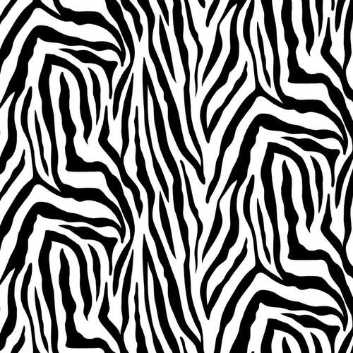 Skin Deep - Zebra Skin - Blk/Wht