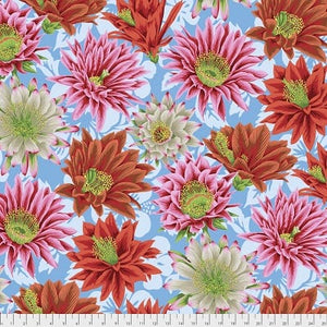 Cactus Flower - Multi
